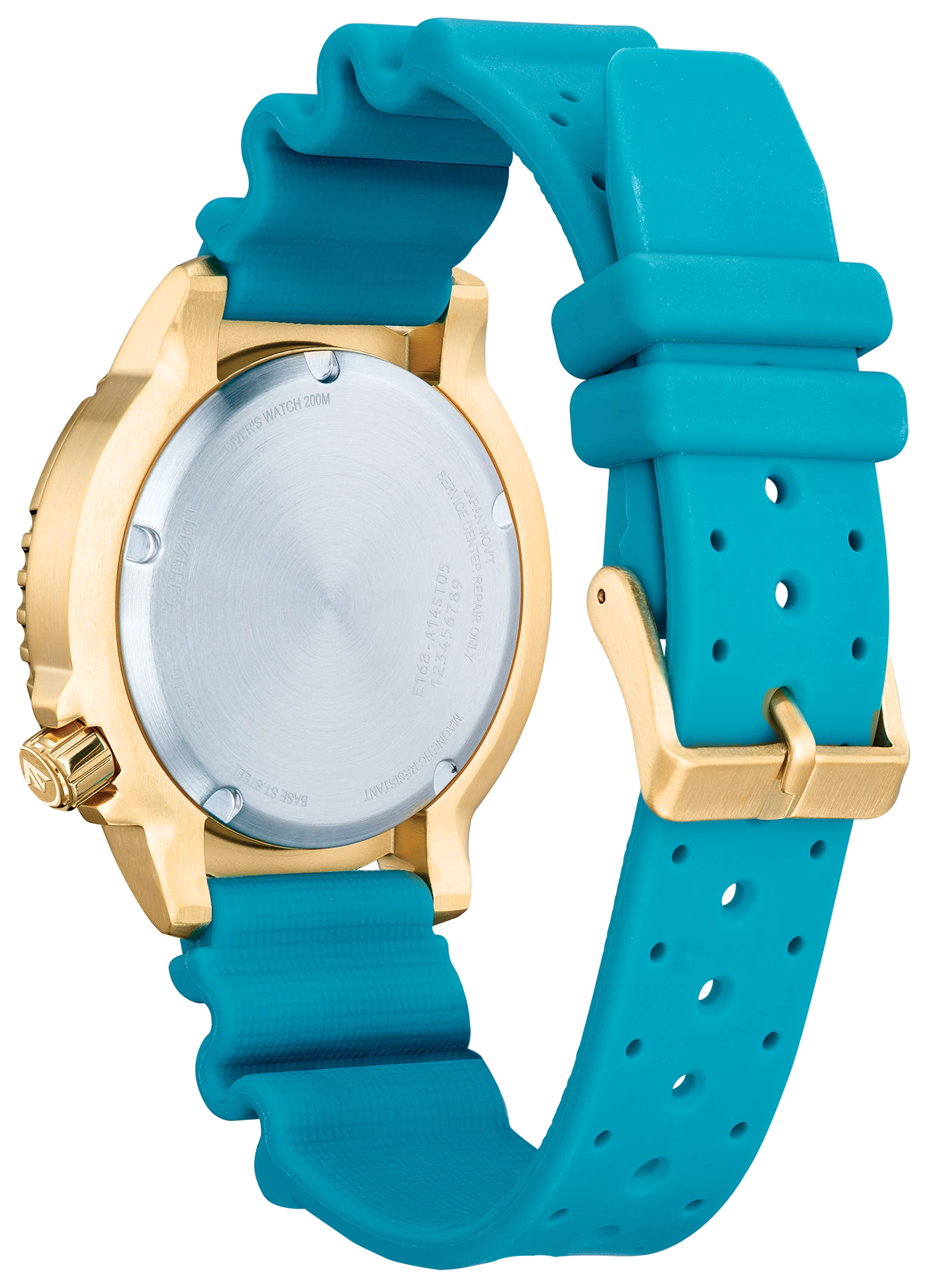 ②蓮ページ⑤ 46b9dd2b0ba8_2fa3530c1f4bc1830